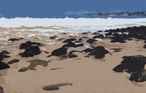 Beach Rocks and Sand